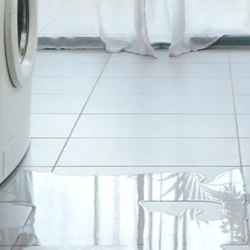 Appliance Leak Cleanup in Island Walk, FL