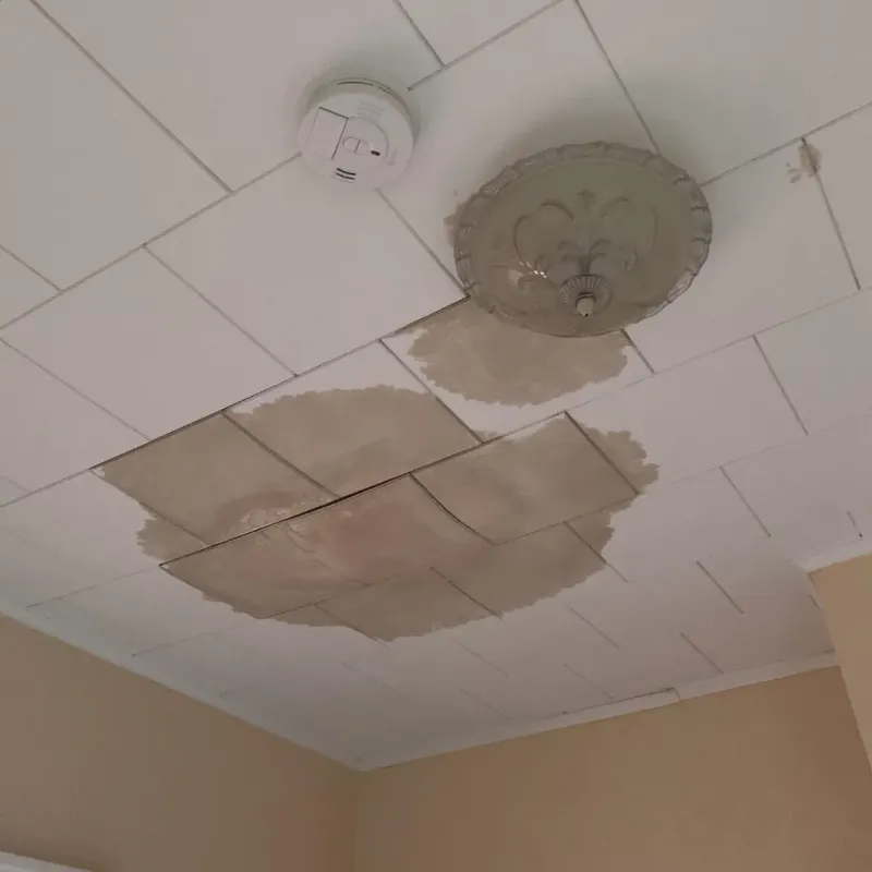 Ceiling Water Damage Repair in Island Walk, FL